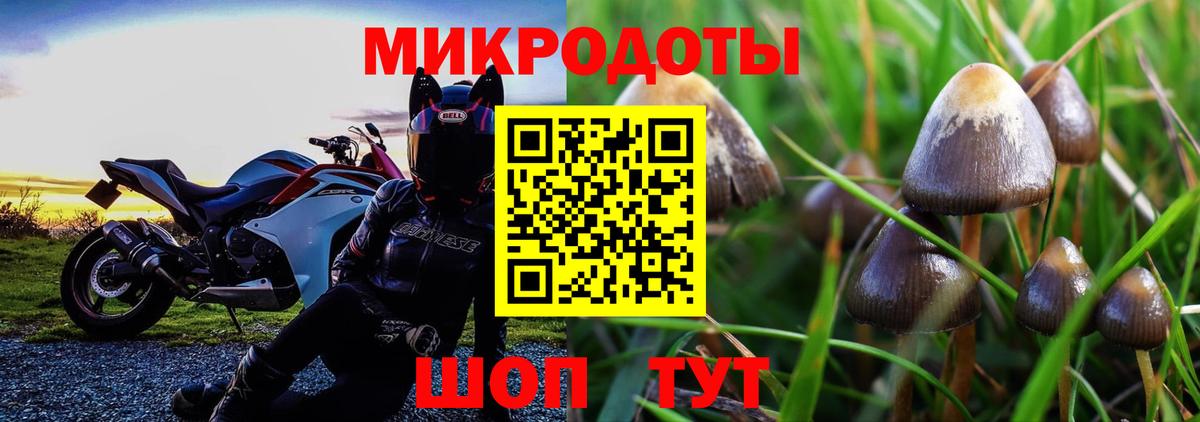 Первоуральск  Псилоцибиновые грибы Psilocybine cubensis  Галлюциногенные грибы Psilocybe  Вход с VPN 